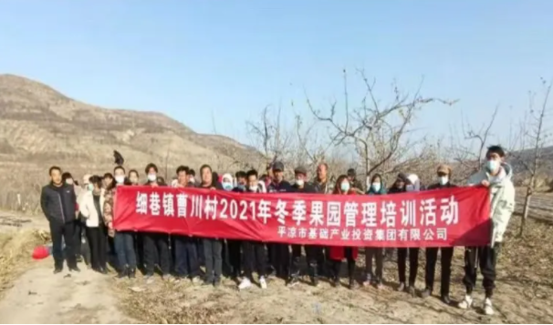 15vip太阳集团官网在静宁帮扶村开展冬季果园管理培训(图3)