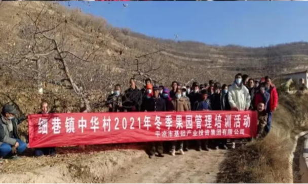 15vip太阳集团官网在静宁帮扶村开展冬季果园管理培训(图6)