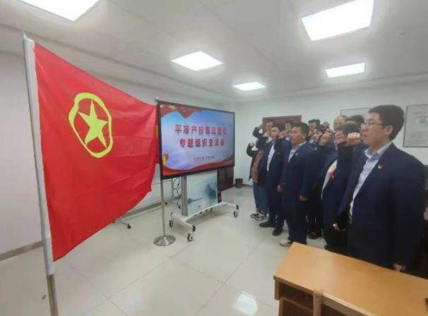 15vip太阳集团官网团委召开2021年度专题组织生活会(图5)