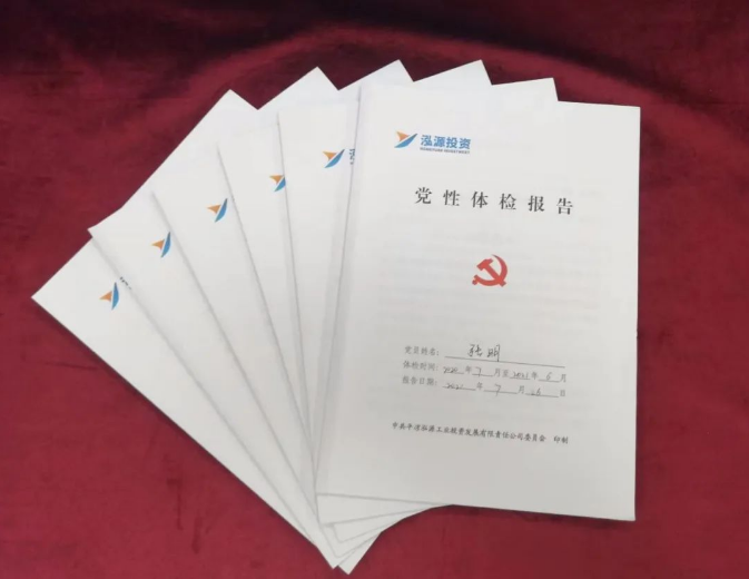 15vip太阳集团官网打造“泓源红”党建品牌助推高质量发展(图3)